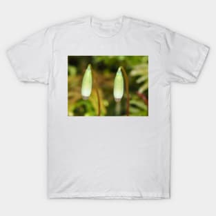 Moss sporophytes macro shot T-Shirt